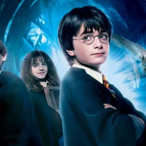 Hogwarts Student