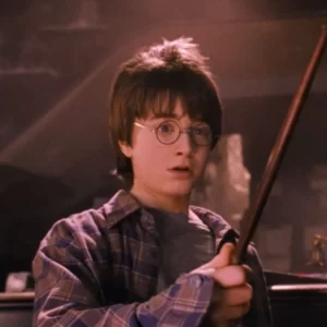 Harry Potter Quotes Quiz Harry Potter
