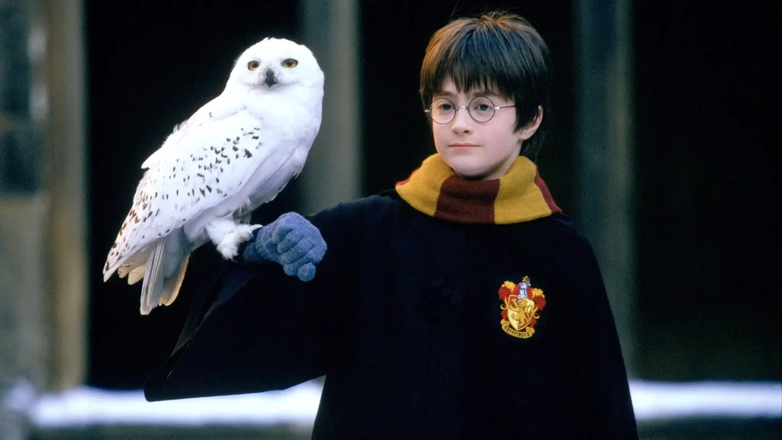 Harry Potter Wand Quiz Harry Potter and the Philosopher's Stone Hedwig