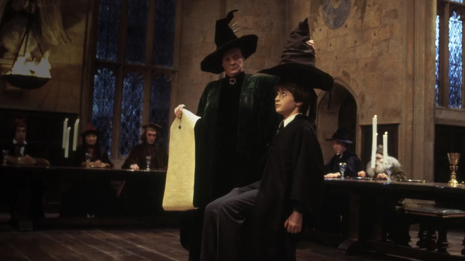 Harry Potter and the Philosopher's Stone sorting hat