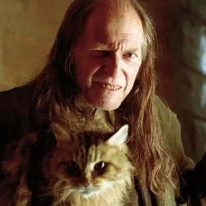 Harry Potter Wand Quiz Argus FIlch