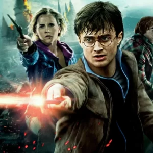 Muggle No More