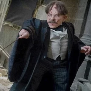 Harry Potter Wand Quiz Professor Flitwick