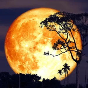 Are You A Mermaid, A Fairy, A Vampire, Or A Witch? Quiz Midnight