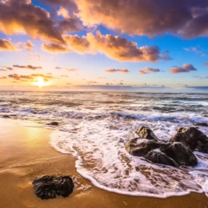What Urban Legend Creature Are You? Quiz Beach