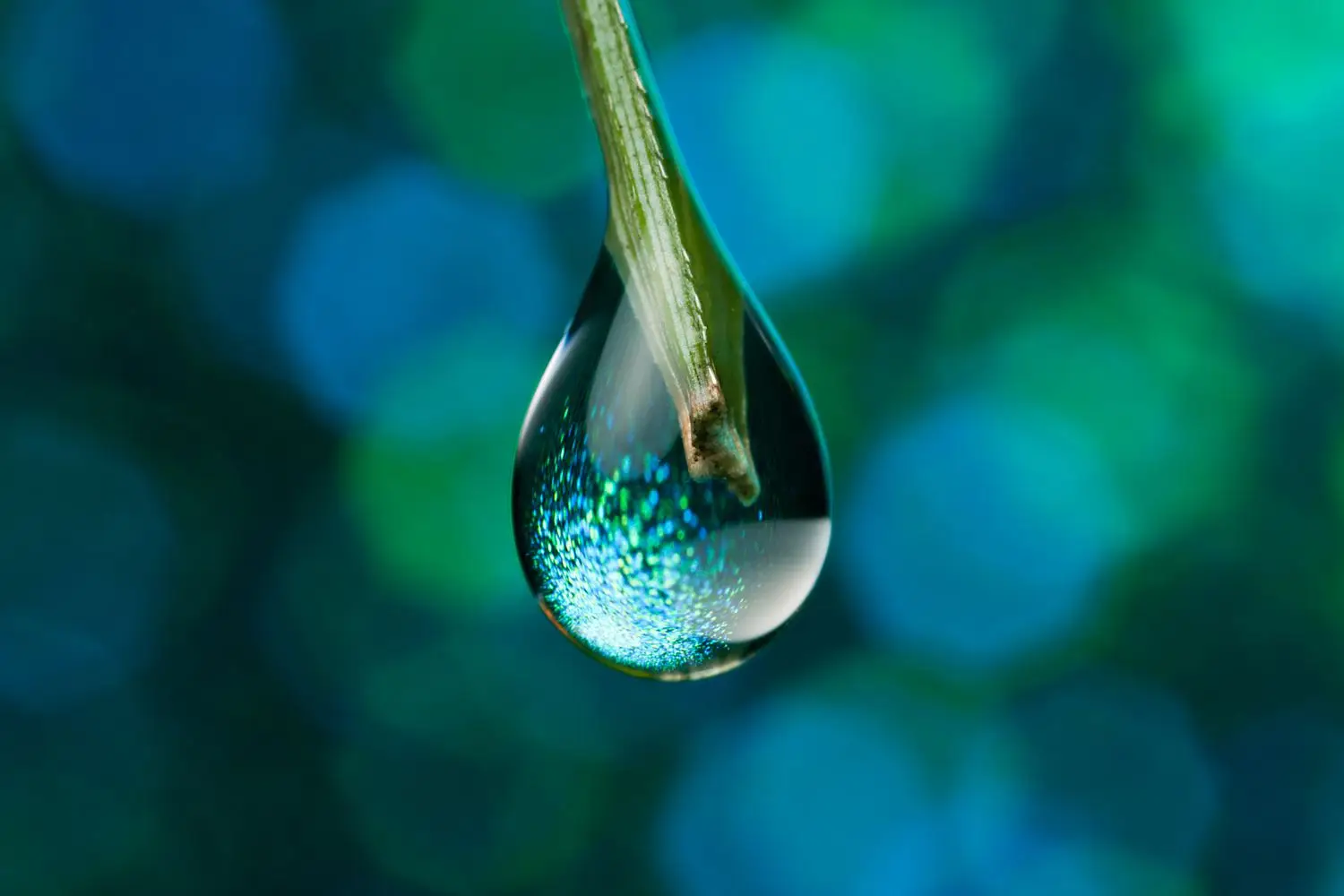 Summer Idioms Quiz Water droplet