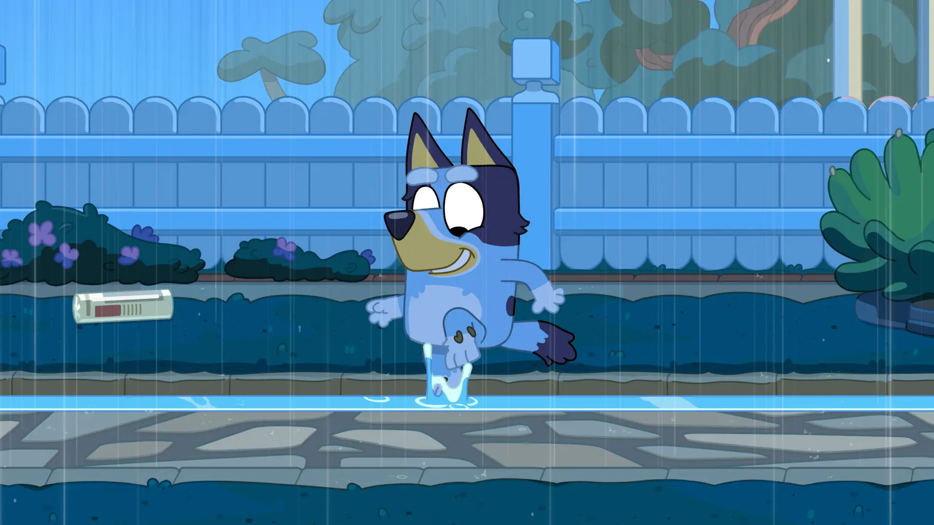 Which Bluey Character Are You? Quiz Bluey rainy day