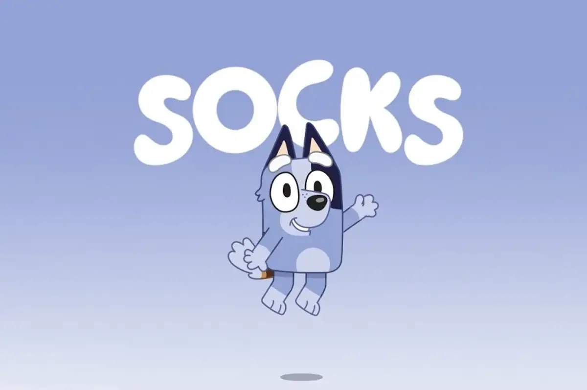 You got: Socks! Which Bluey Character Are You?