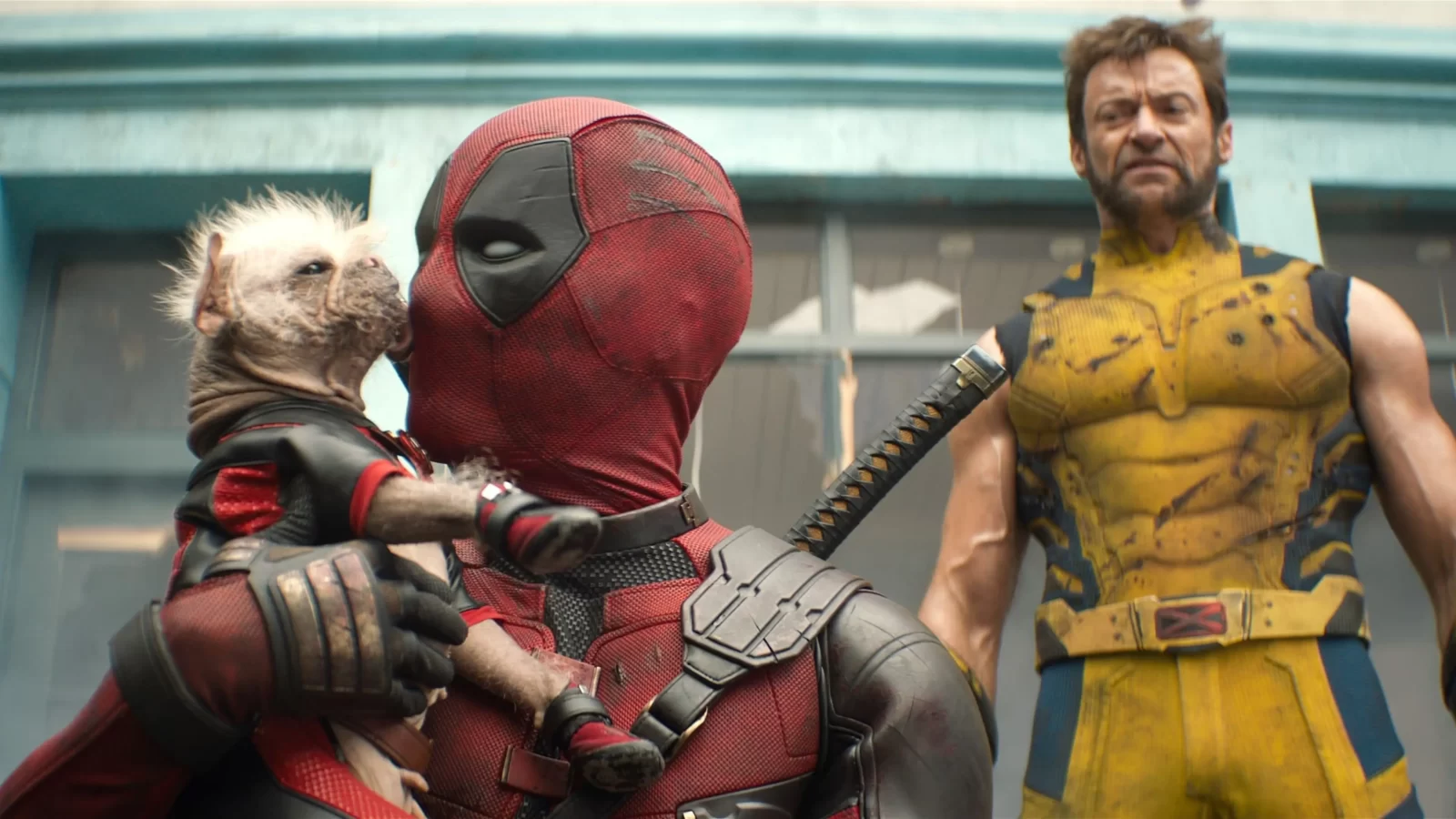 Are You More Deadpool Or Wolverine? Quiz Deadpool & Wolverine