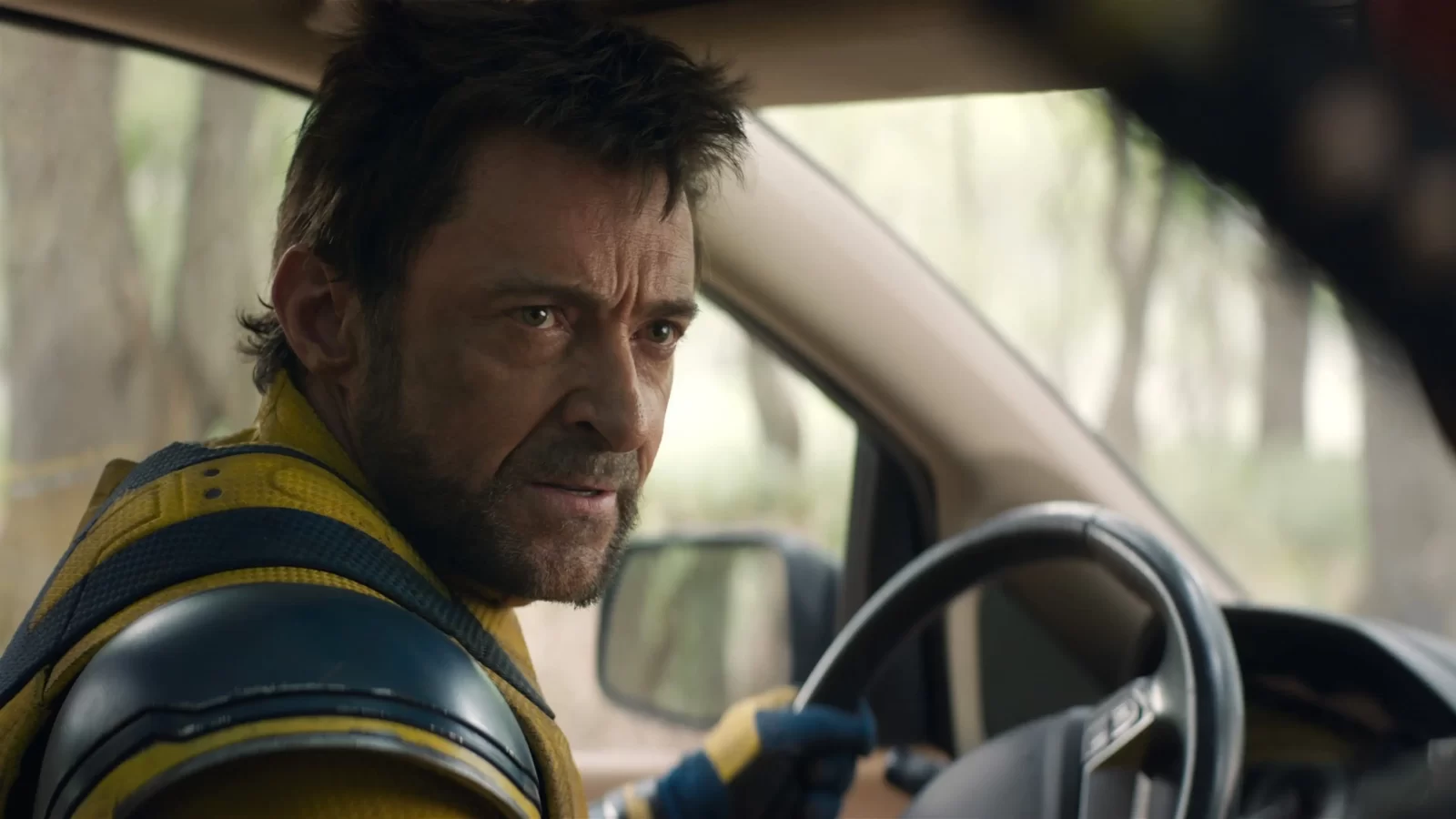 Wolverine driving