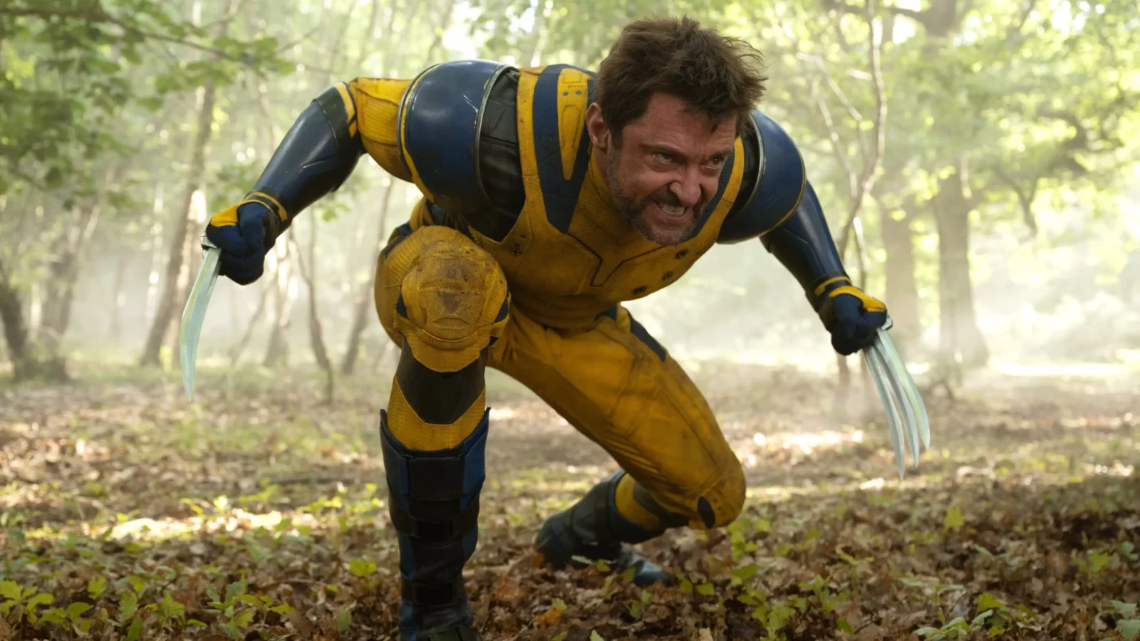 Are You More Deadpool Or Wolverine? Quiz Wolverine