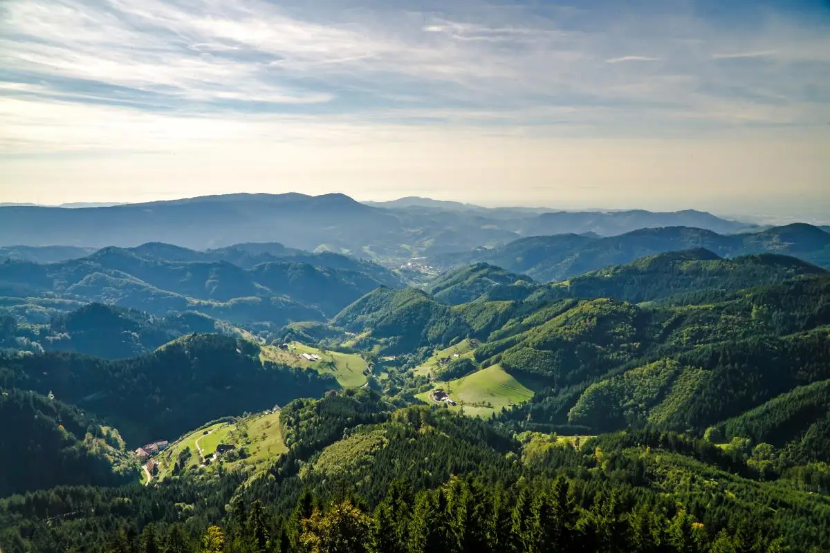 Black Forest, Germany, nature landscape