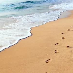 Guess The Animated Movie Titles Quiz Footsteps
