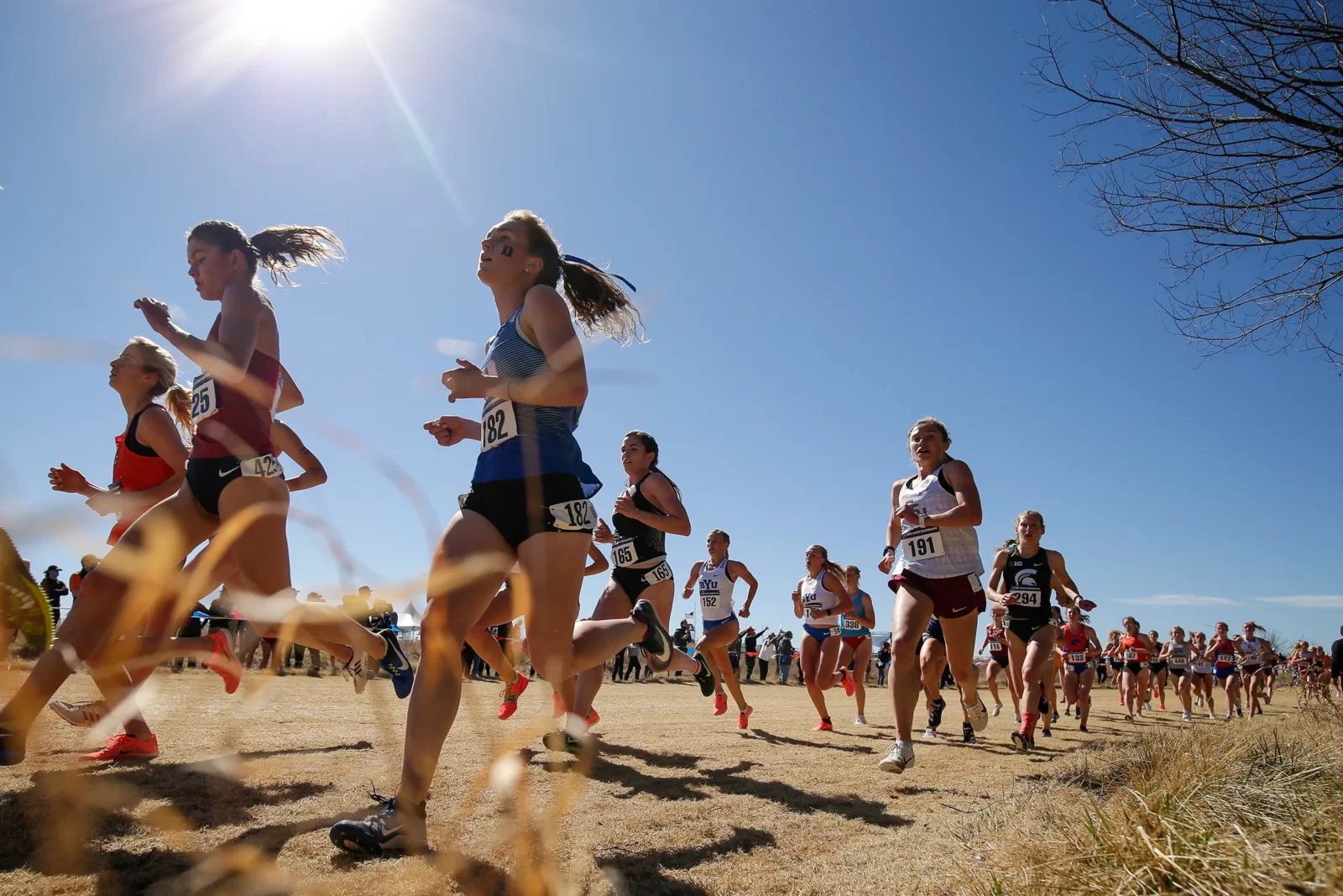 Triangle Or Cross Quiz Cross country running