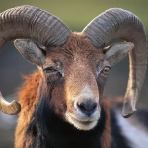 Those With Encyclopedic Knowledge Will Get 15 On This Quiz Ram