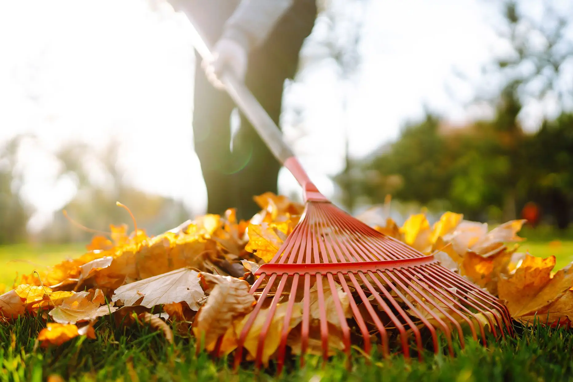 Autumn Idioms Quiz Raking leaves