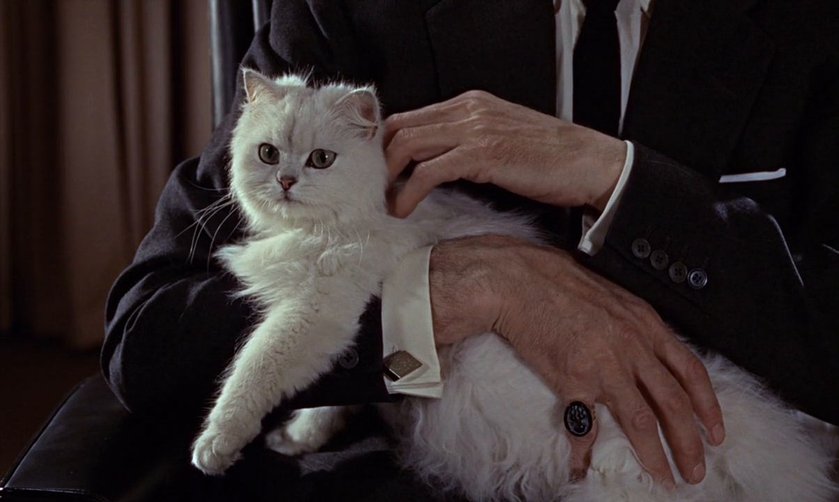 Blofeld Persian Cat James Bond