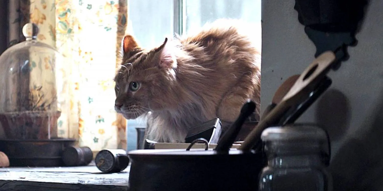 Can You Match Fictional 20 Cats to Their Movies? Quiz Buttercup from The Hunger Games