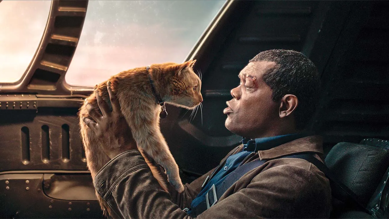 Can You Match Fictional 20 Cats to Their Movies? Quiz Goose from Captain Marvel