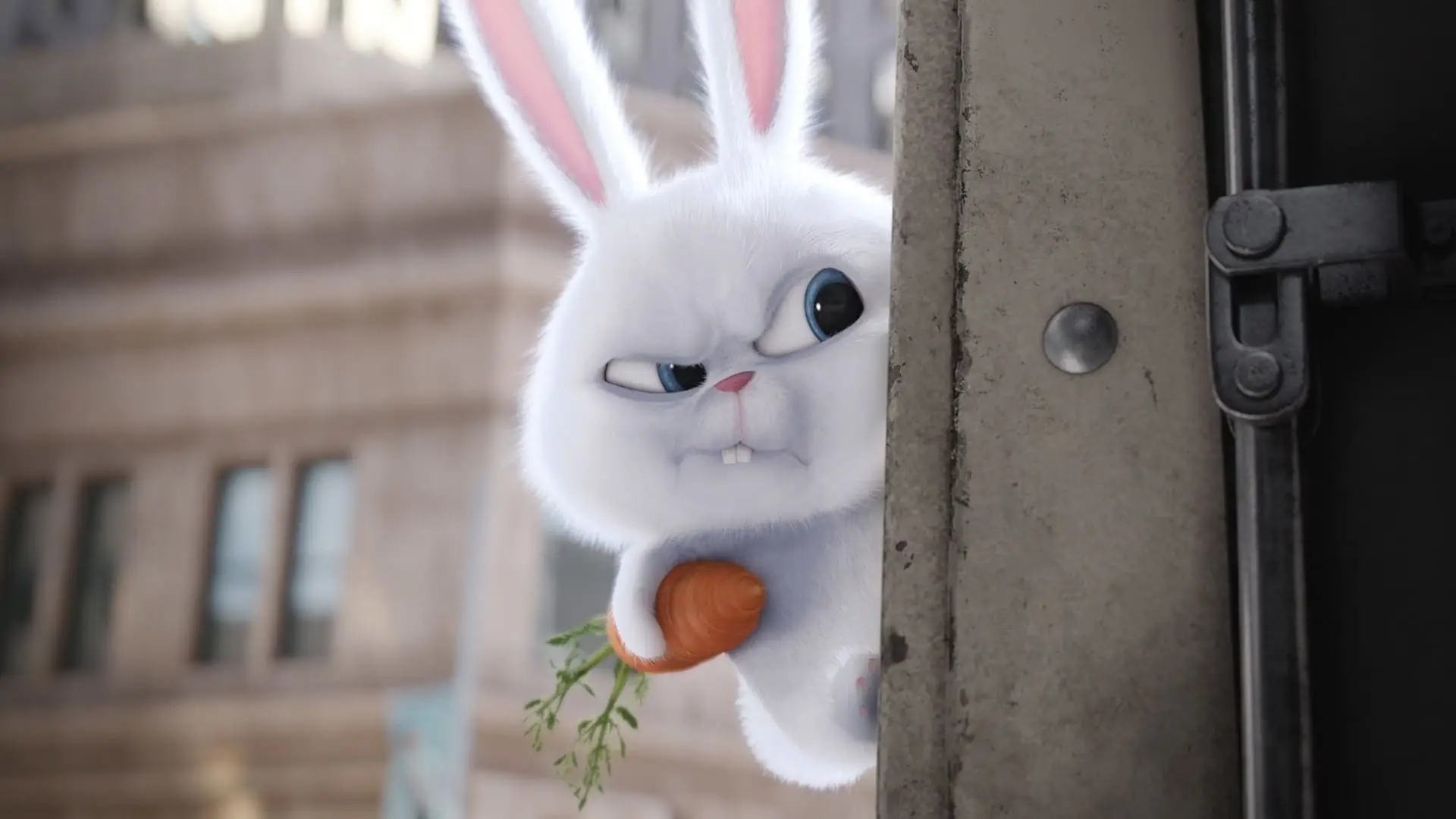 Guess The Animated Movie Titles Quiz The Secret Life of Pets rabbit