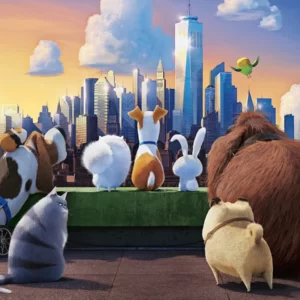 Can You Match Fictional 20 Cats To Their Movies? Quiz The Secret Life of Pets