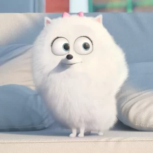 Movie Dogs Quiz The Secret Life of Pets