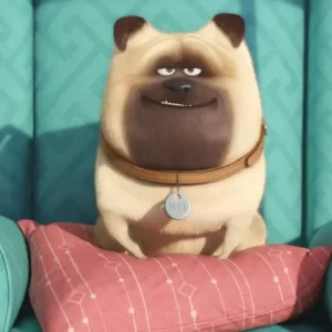 Movie Dogs Quiz The Secret Life of Pets