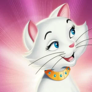 Black Cat Quiz The Aristocats