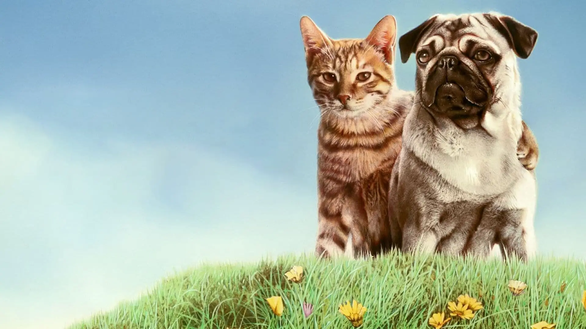 Can You Match Fictional 20 Cats to Their Movies? Quiz The Adventures of Milo and Otis