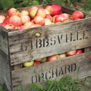 Pick A-Z Activities & Find Out When You'll Be Rich Quiz Apple picking