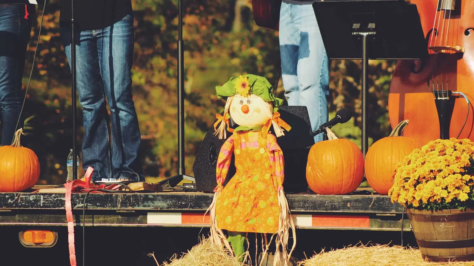 You got: Attend a harvest festival! Eat a Bunch of Orange Foods and We’ll Give You a Fall Activity to Try