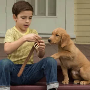 Movie Dogs Quiz A Dog\'s Purpose
