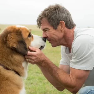 Movie Dogs Quiz A Dog\'s Purpose