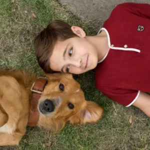Movie Dogs Quiz A Dog\'s Purpose