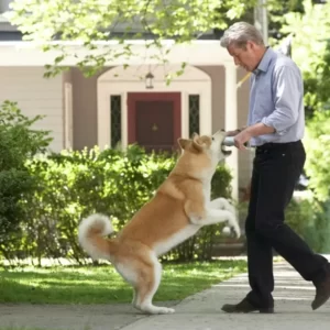 Movie Dogs Quiz Hachi: A Dog\'s Tale