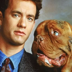 Movie Dogs Quiz Turner & Hooch