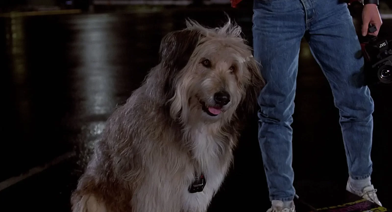 Movie Dogs Quiz Back to the Future dog