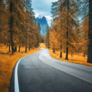 Fall Activities Quiz Take a scenic drive