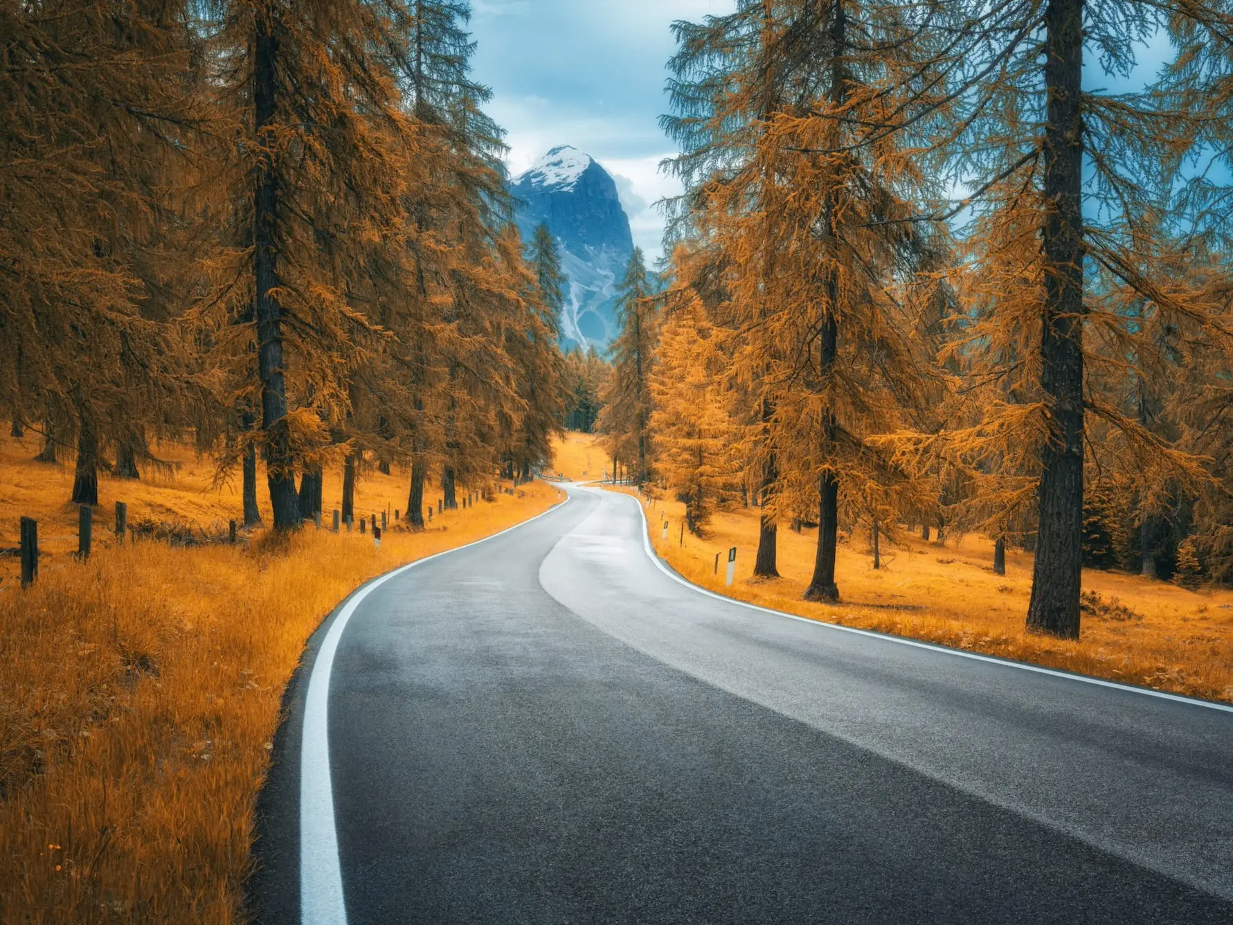 Road foliage