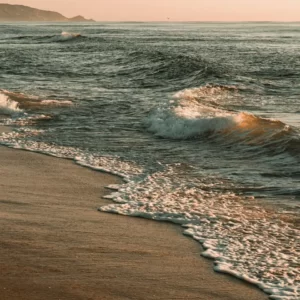 Ology Vocabulary Quiz Waves