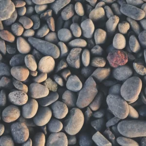 Are You A Desert, Forest, Mountain, Or Ocean? Quiz Pebbles
