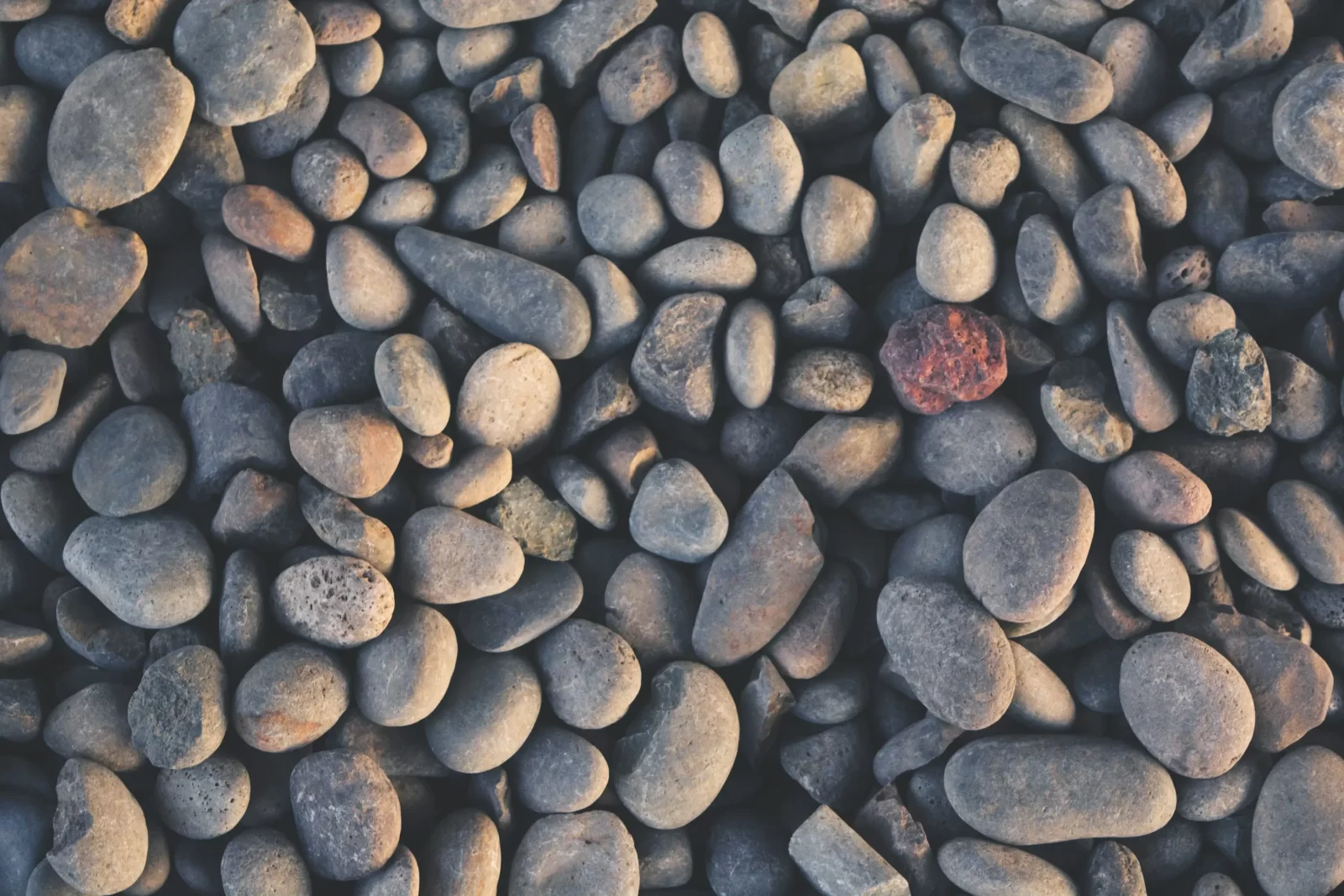 Are You A Desert, Forest, Mountain, Or Ocean? Quiz Pebbles