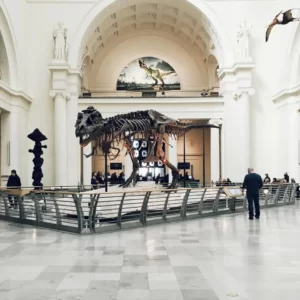 Fun Activities Quiz Visit a museum