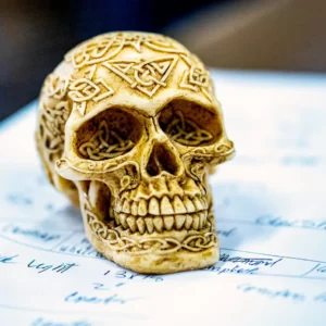 Are You A Jock, A Nerd, Prep, Or Goth? Quiz Skull paperweight