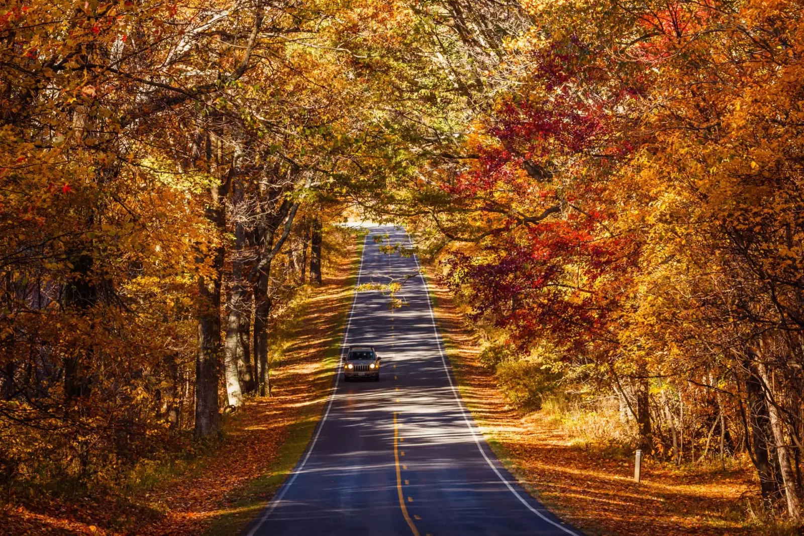 Autumn road trip, Shenandoah National Park Virginia