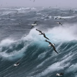 Autumn Geography Quiz Drake Passage