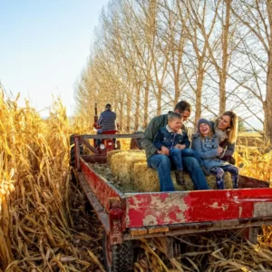 Fall Activities Quiz Go for a hayride