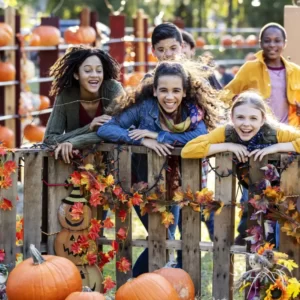 Fall Activities Quiz Attend a fall festival