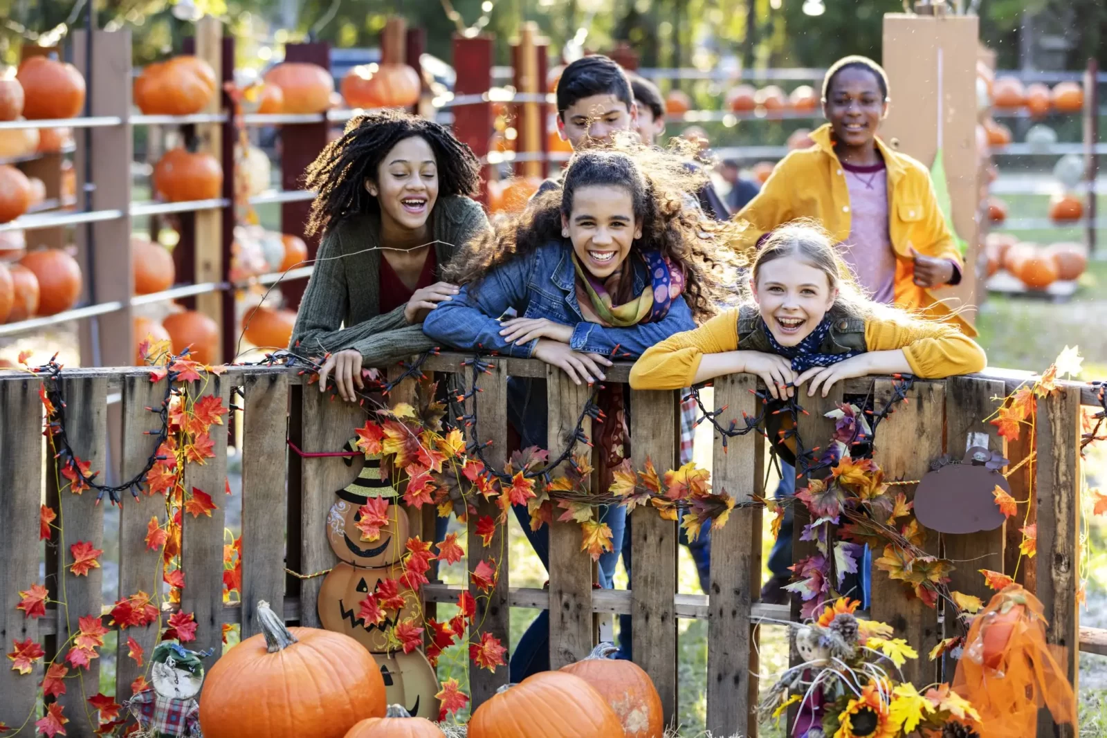 Which Spooky Family Do You Belong In? Quiz Fall festival