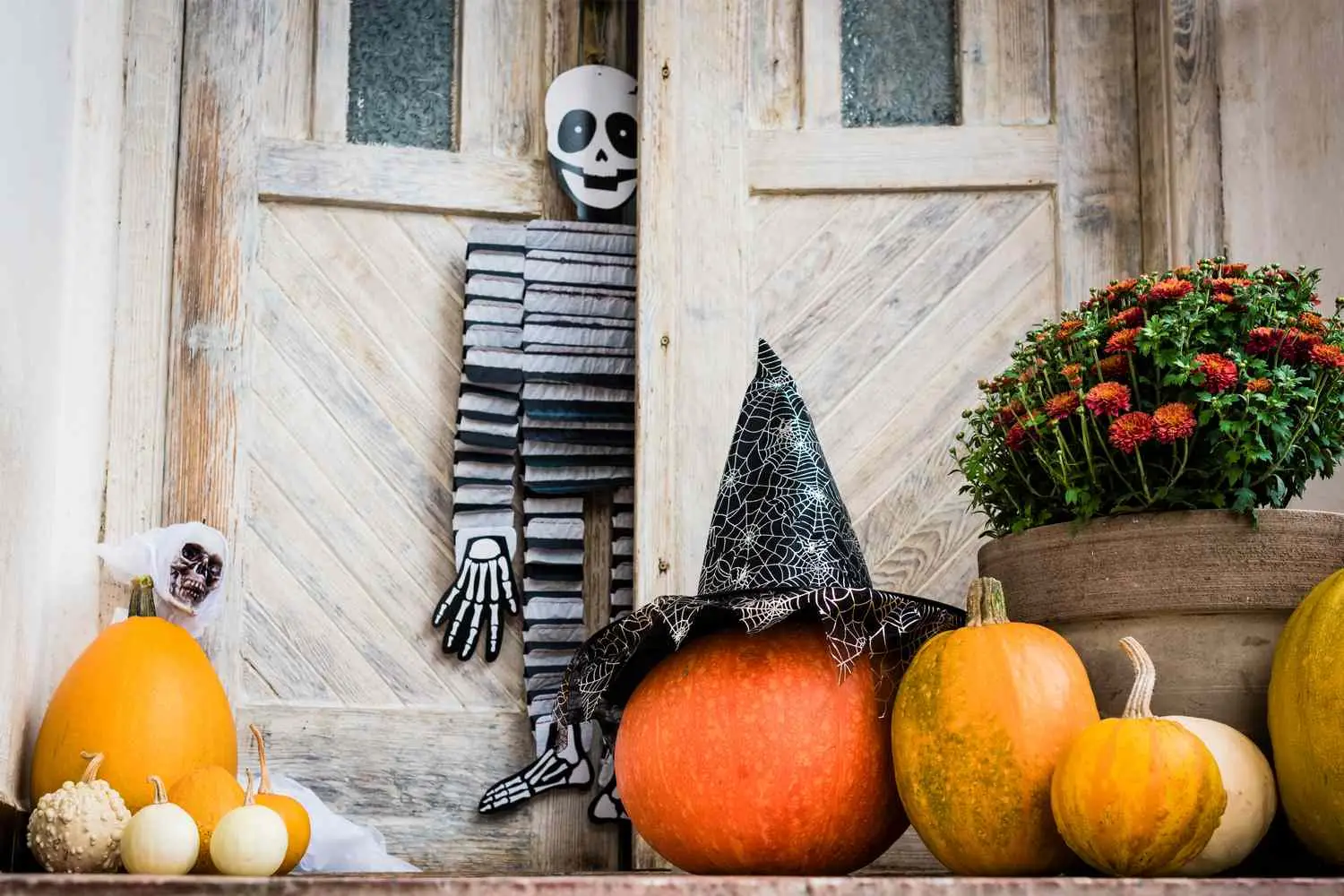 Trick-or-Treating Quiz Halloween decorations